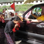 Devoted