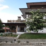 Blooming in Motithang