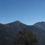 tergola