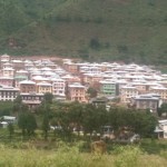 20110811-081044.jpg