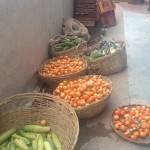 rotting-vegetables