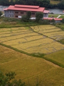 20121011-095839.jpg